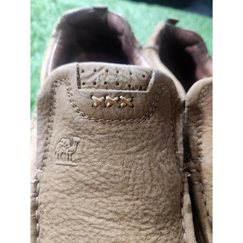 Camel Crown brand camel